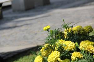 Kresz tábor 2012